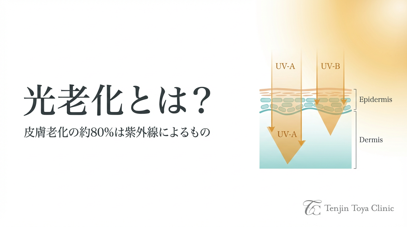 Tenjin Toya CliniC_皮膚科・美容皮膚科_光老化とは