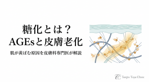 【肌が黄ばむ原因】糖化とは？AGEsと皮膚老化