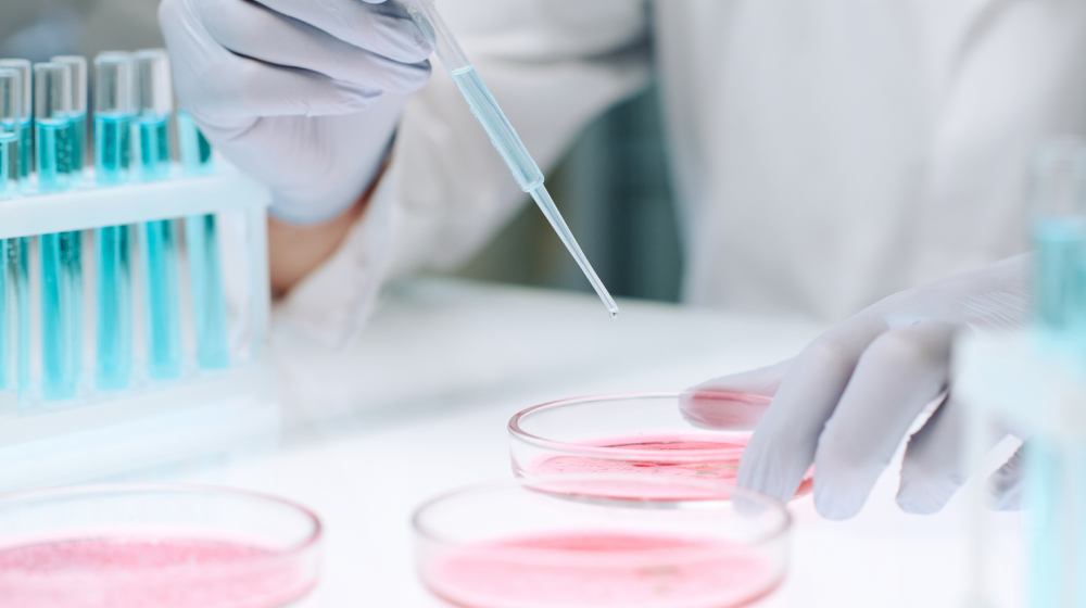 フレッシュ細胞による再生医療