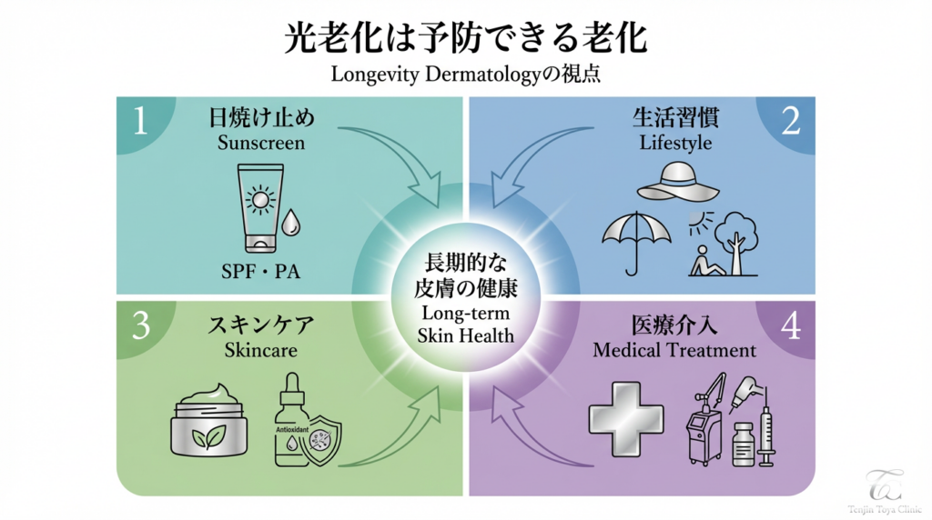 Tenjin Toya CliniC_皮膚科・美容皮膚科_Longevity_光老化予防アプローチ
