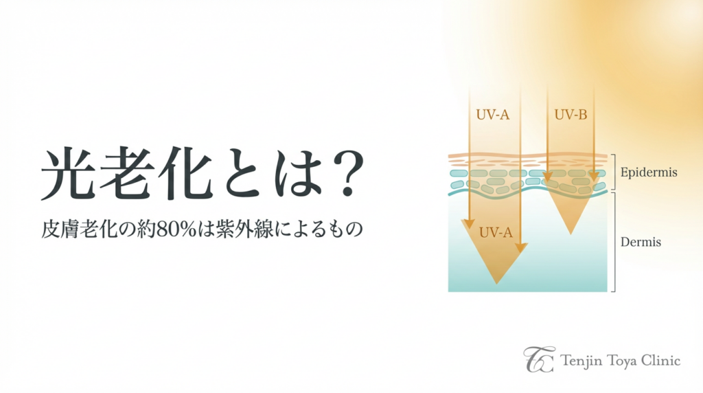 Tenjin Toya CliniC_皮膚科・美容皮膚科_光老化とは